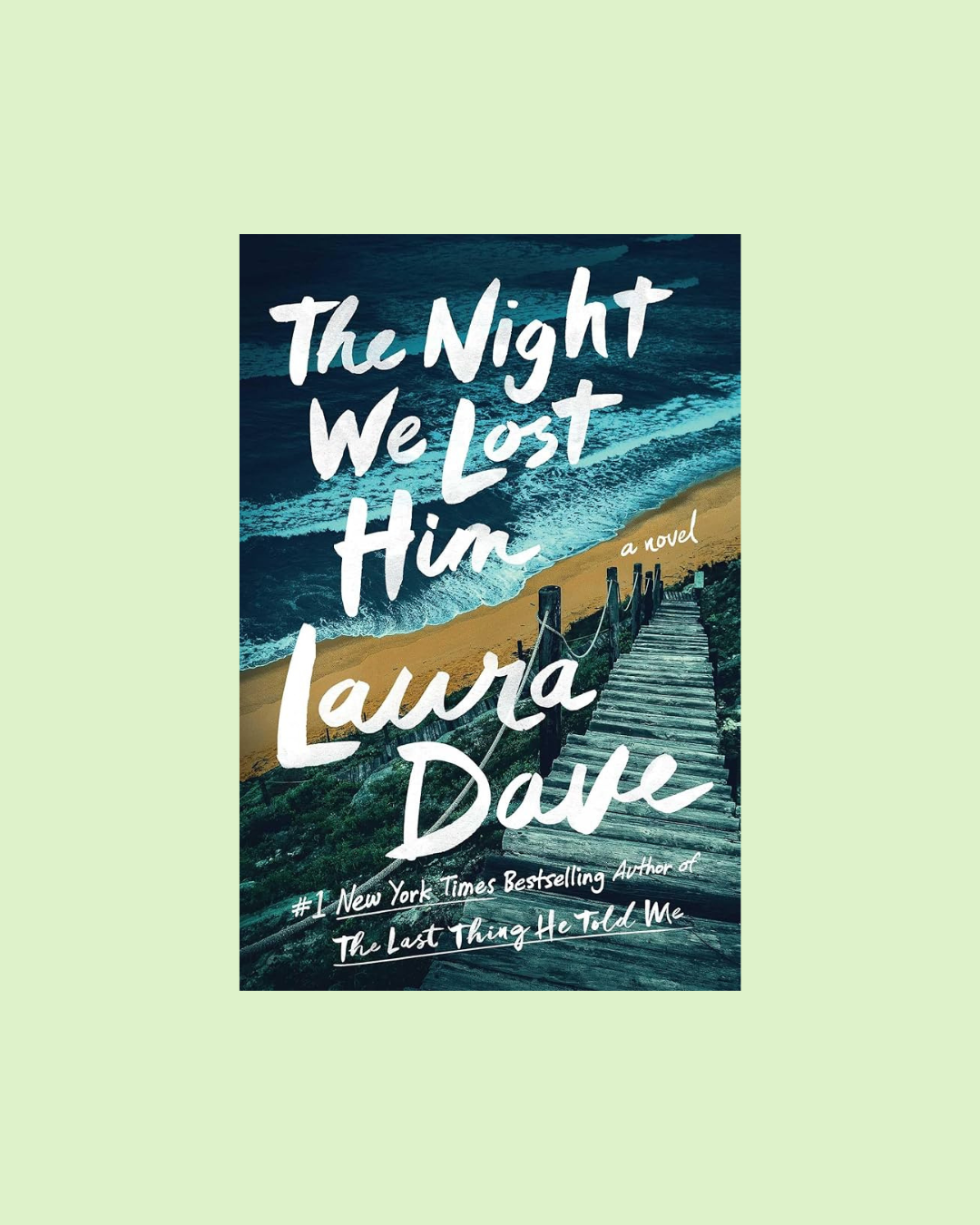 The Night We Lost Him by Laura Dave