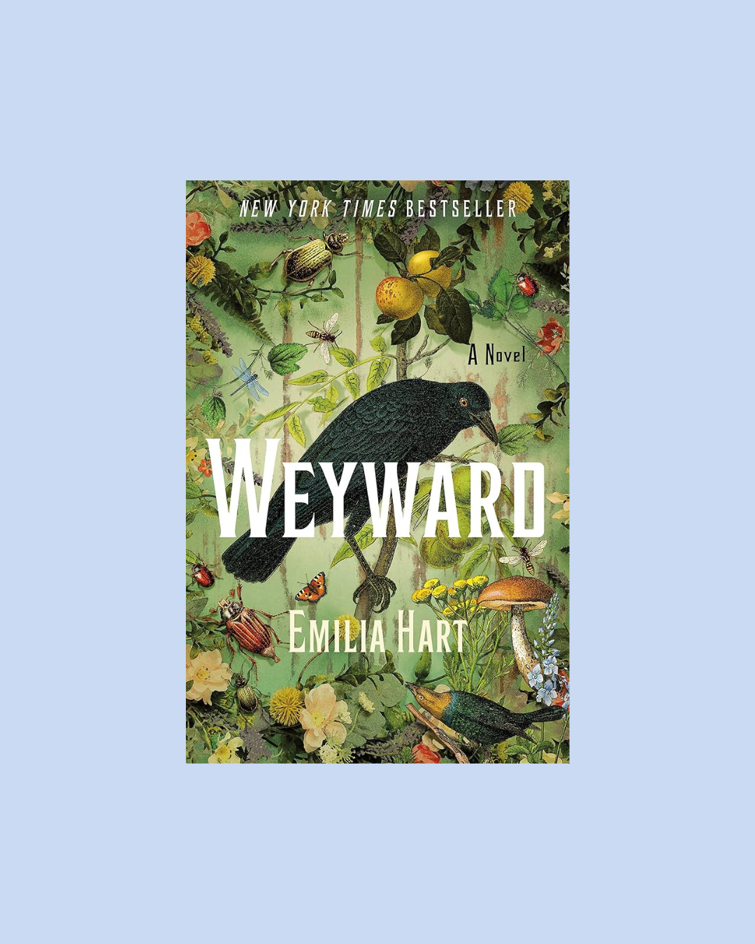 Weyward by Emilia Hart