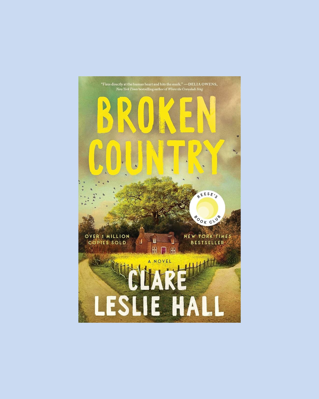 Broken Country by Clare Leslie Hall